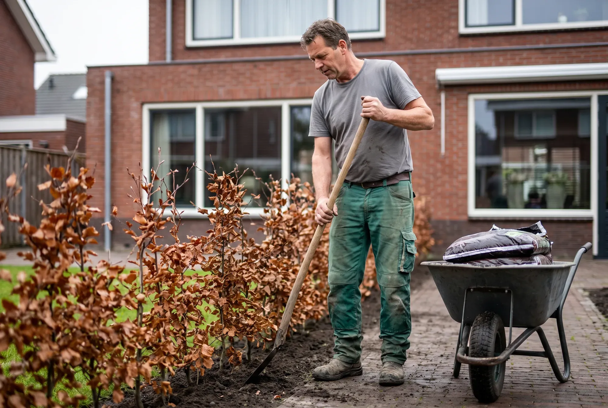 Hovenier plant een haag in een achtertuin